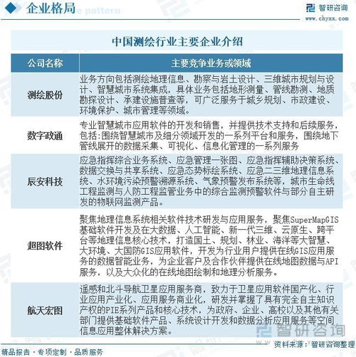 2023年測(cè)繪行業(yè)投資熱點(diǎn)及未來(lái)發(fā)展趨勢(shì)預(yù)測(cè)報(bào)告——聚焦信息系統(tǒng)集成服務(wù)